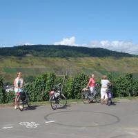 Fietsen langs de wijngaarden